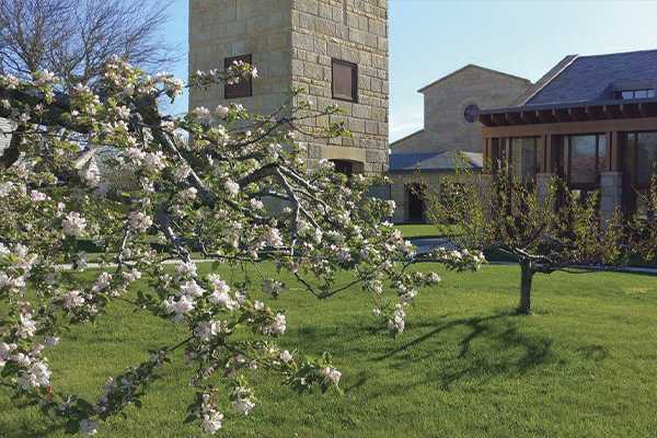 image of the blossoming fruit trees in the orchard next to the Church of the Transfiguration and Chapter House