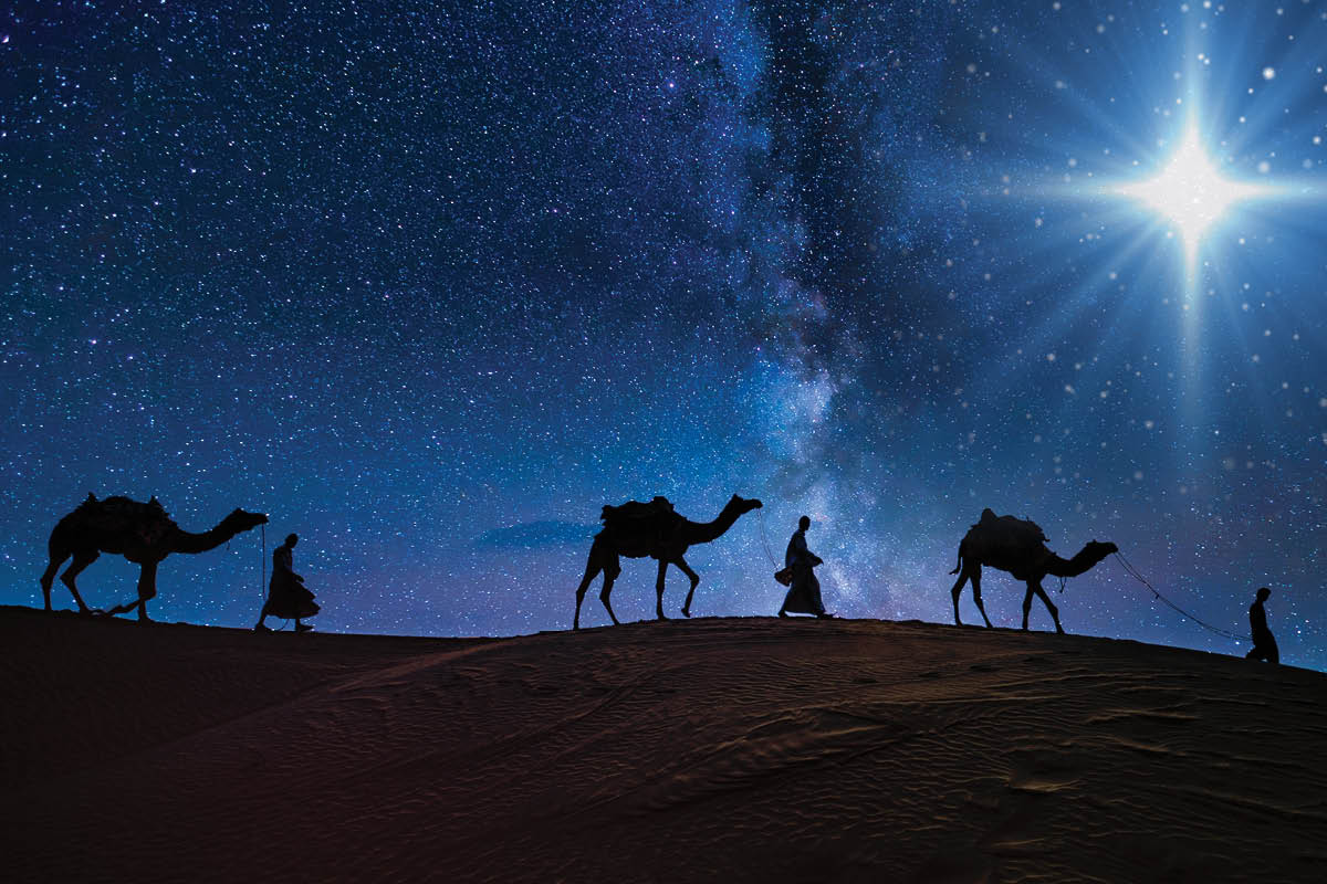 image of the blossoming fruit trees in the orchard next to the Church of the Transfiguration and Chapter House
