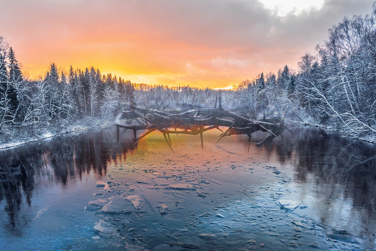 image of the blossoming fruit trees in the orchard next to the Church of the Transfiguration and Chapter House